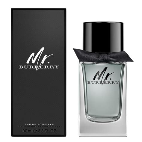 mr burberry buy online|Burberry mr Burberry edt 100ml.